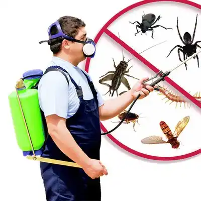 pest control Jeffersontown